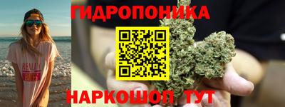 mdpv Можга