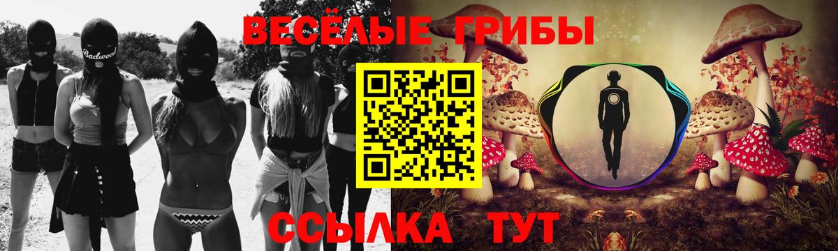 Галлюциногенные грибы Psilocybe Десногорск